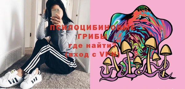 jwh Белокуриха