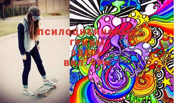 jwh Белокуриха