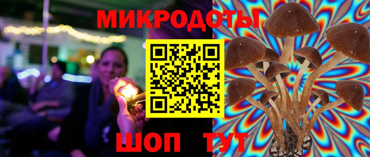 Бутурлиновка  Псилоцибиновые грибы Psilocybe  Вход с VPN 